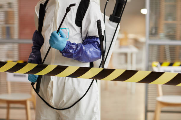 Professional Sewage Cleanup technician working in Livingston, NJ